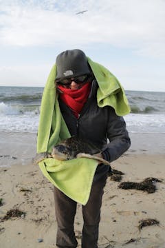 Film Crew Saving Sea Turtles